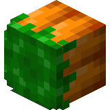 Exportable carrots